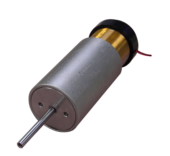 Linear Voice Coil Motor with Internal Bearing